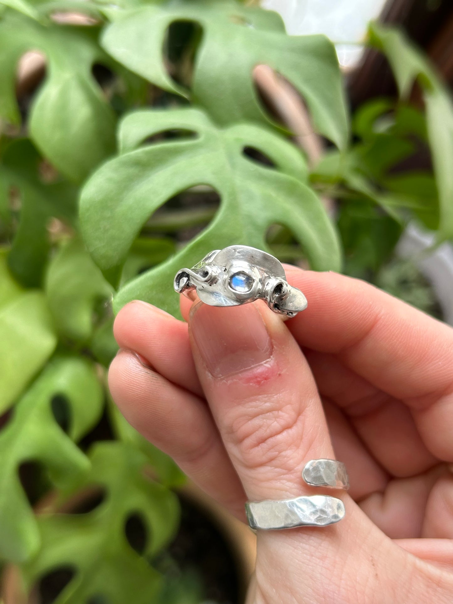 Mushrooms & Moonstone Ring